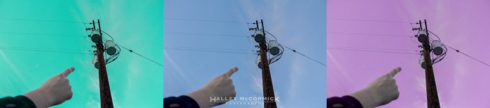 IMG_7296-focal_point